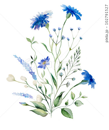 Watercolor blue cornflowers and wildflowers bouquet, summer wedding isolated illustration 102791527