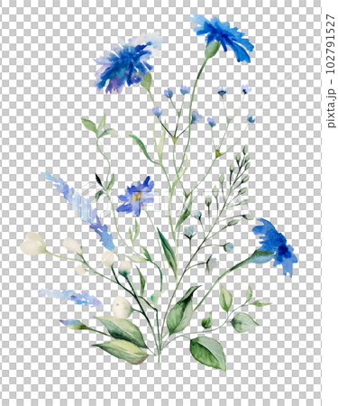 Watercolor blue cornflowers and wildflowers bouquet, summer wedding isolated illustration 102791527