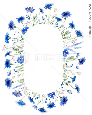 Watercolor blue cornflowers and wildflowers oval frame, summer wedding isolated illustration Watercolor blue cornflowers and wildflowers oval frame, summer wedding isolated illustration 102791528