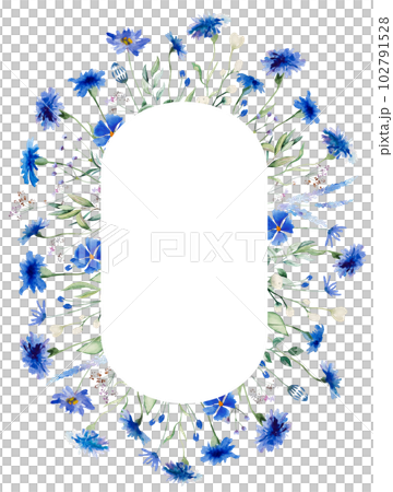 Watercolor blue cornflowers and wildflowers oval frame, summer wedding isolated illustration Watercolor blue cornflowers and wildflowers oval frame, summer wedding isolated illustration 102791528