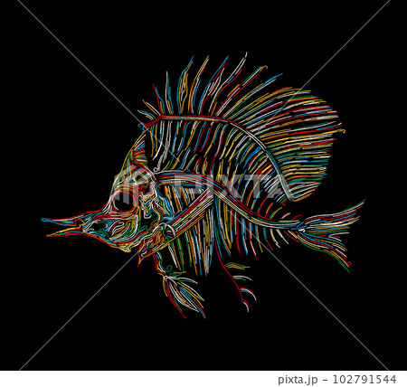 Fish skeleton icon 102791544
