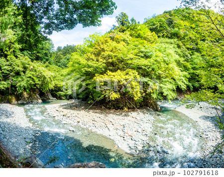 初夏のみずみずしい景色 対角魚眼レンズで撮ったヤビツ峠への神奈川県道70号線沿いの風景 初夏のみずみずしい景色 対角魚眼レンズで撮ったヤビツ峠への神奈川県道70号線沿いの風景 102791618