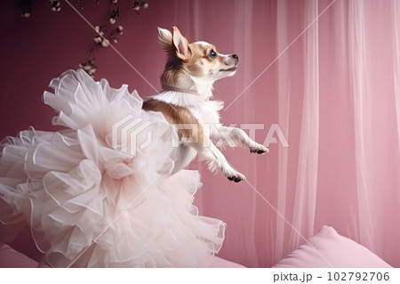 Cute chihuahua puppy jumping in the pink room. Tiny dog soaring in light veil and tulle. Generated AI. Cute chihuahua puppy jumping in the pink room. Tiny dog soaring in light veil and tulle. Generated AI. 102792706