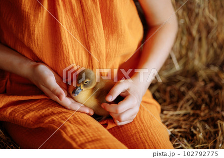 Child girl in an orange suit and a straw hat sits with a duck Child girl in an orange suit and a straw hat sits with a duck 102792775