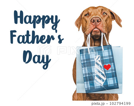 Happy Father's Day. Cute brown puppy and gift bagの写真素材