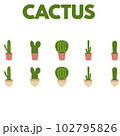 Illustration of cactus 102795826