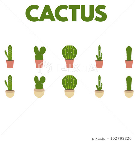 Illustration of cactus 102795826