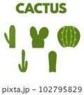 Illustration of cactus 102795829