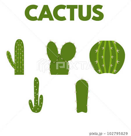 Illustration of cactus 102795829