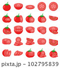 Illustration of tomato 102795839