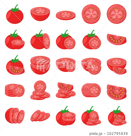 Illustration of tomato 102795839
