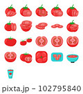 Illustration of tomato 102795840