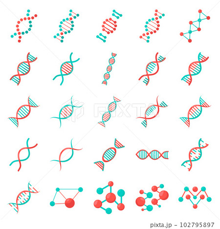 Illustration of DNA 102795897