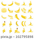 Illustration of banana 102795898
