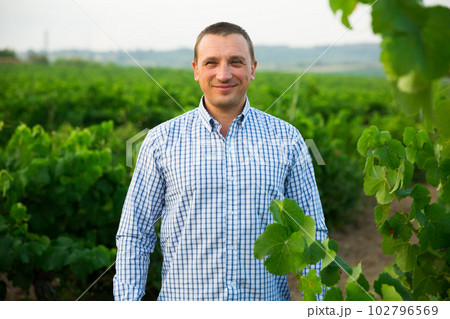 Male farmer standing near grapes in vineyard at summertime Male farmer standing near grapes in vineyard at summertime 102796569