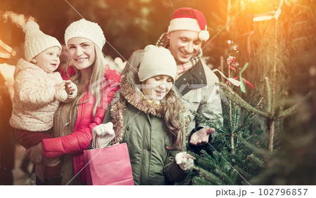 Parents with daughters choosing Christmas tree 102796857