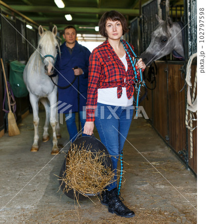 Positive female worker feeding horses Positive female worker feeding horses 102797598