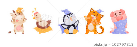 Cute Sleepy Animals Yawning and Sleeping in Nightcap with Pillow Vector Set Cute Sleepy Animals Yawning and Sleeping in Nightcap with Pillow Vector Set 102797815