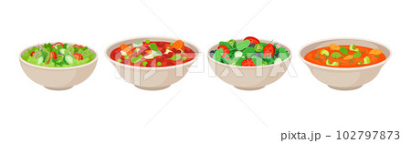 Vegan Dish and Main Course with Vegetables Served in Bowl Vector Set 102797873