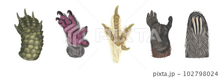 Animal Paw and Animalistic Pets Claw Vector Set 102798024