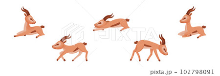 African Wild Gazelle with Long Horns and Hoofs Vector Set African Wild Gazelle with Long Horns and Hoofs Vector Set 102798091
