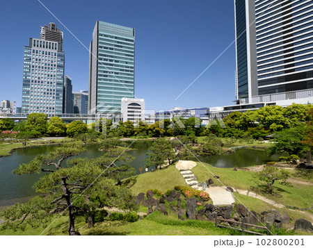 新緑の旧芝離宮恩賜庭園 東京都 新緑の旧芝離宮恩賜庭園 東京都 102800201