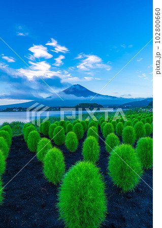 【富士山素材】夏の河口湖から見る富士山【山梨県】 【富士山素材】夏の河口湖から見る富士山【山梨県】 102800660