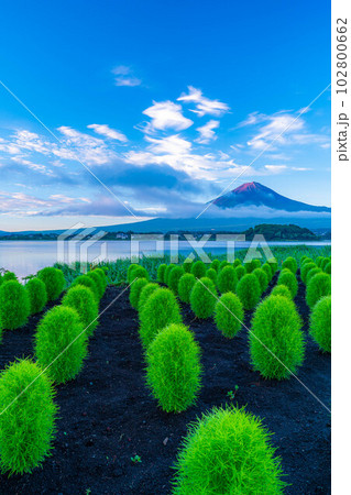 【富士山素材】夏の河口湖から見る富士山【山梨県】 【富士山素材】夏の河口湖から見る富士山【山梨県】 102800662