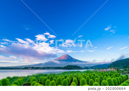 【富士山素材】夏の河口湖から見る富士山【山梨県】 【富士山素材】夏の河口湖から見る富士山【山梨県】 102800664