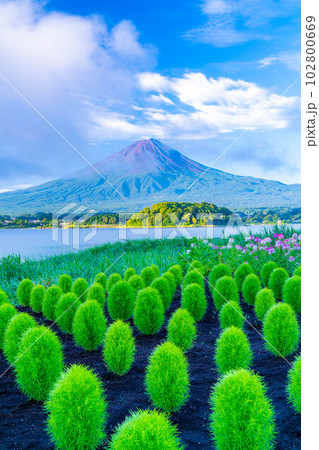 【富士山素材】夏の河口湖から見る富士山【山梨県】 【富士山素材】夏の河口湖から見る富士山【山梨県】 102800669