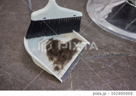 Pile of dust included cat hair, cat litter and human hair on the floor with a long sweeping brush on the left side. 102800808