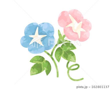 手塗風の朝顔のイラスト 102801137