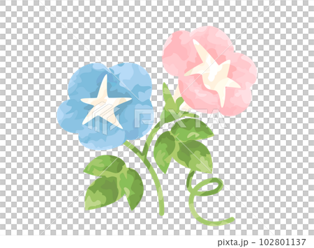 手塗風の朝顔のイラスト 102801137