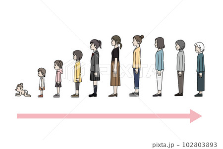 女性の年齢による変化　成長と老化 102803893