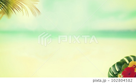 ノスタルジックな夏の海辺 102804582