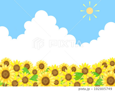 たくさんのひまわりと青い空と太陽と白い雲の夏っぽいイラスト 102805749