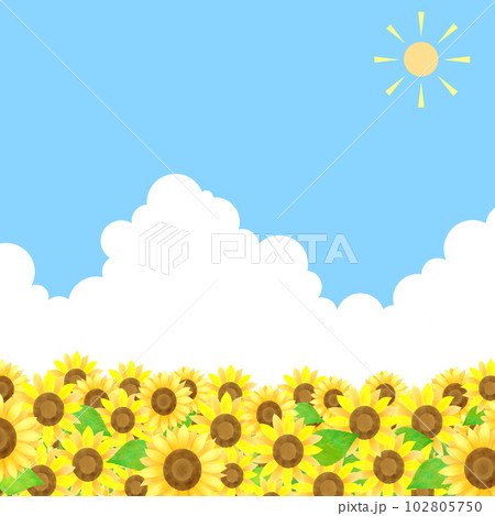 たくさんのひまわりと青い空と太陽と白い雲の夏っぽいイラスト たくさんのひまわりと青い空と太陽と白い雲の夏っぽいイラスト 102805750