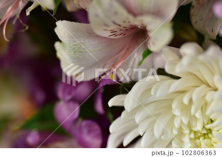 御仏前の花より 102806363