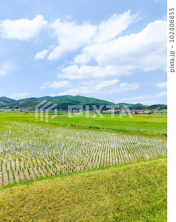 長閑な農村の風景 長閑な農村の風景 102806855