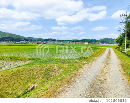 長閑な農村の風景 長閑な農村の風景 102806856
