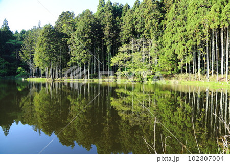龍王ヶ渕　 【奈良県宇陀市室生向渕】 102807004