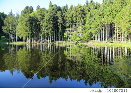 龍王ヶ渕　 【奈良県宇陀市室生向渕】 102807011