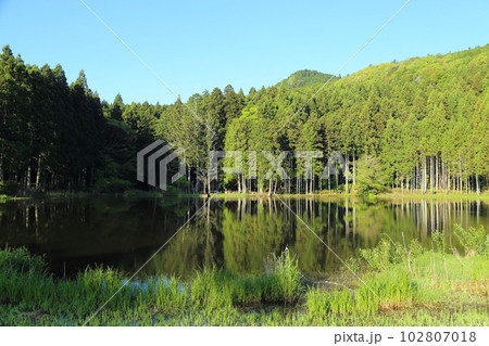 龍王ヶ渕 【奈良県宇陀市室生向渕】 龍王ヶ渕 【奈良県宇陀市室生向渕】 102807018