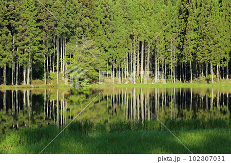 龍王ヶ渕　 【奈良県宇陀市室生向渕】 102807031