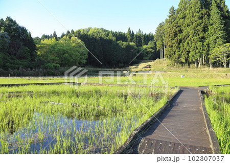 龍王ヶ渕 【奈良県宇陀市室生向渕】 龍王ヶ渕 【奈良県宇陀市室生向渕】 102807037