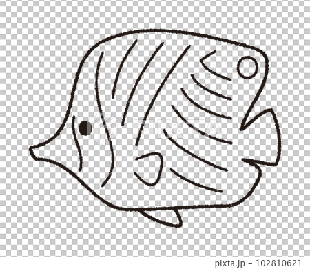 チョウチョウウオのベクター線画イラスト 102810621