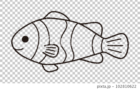 カクレクマノミのベクター線画イラスト 102810622