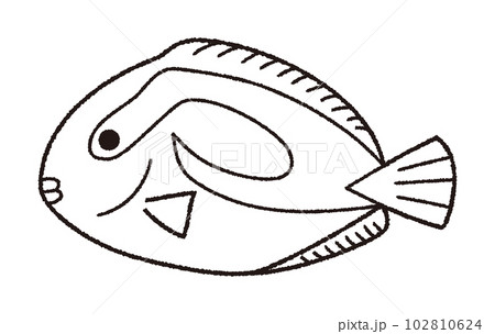 ナンヨウハギのベクター線画イラスト 102810624