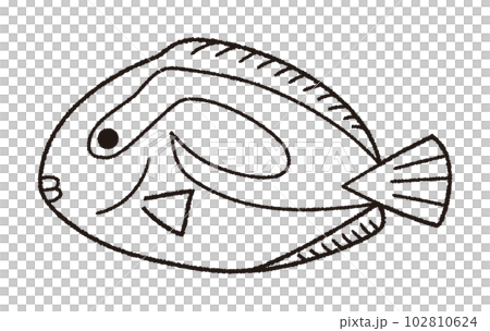 ナンヨウハギのベクター線画イラスト 102810624