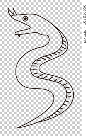 Vector line drawing illustration of a bearded moray eel Vector line drawing illustration of a bearded moray eel 102810650